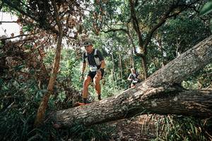 BIB: 
                            <button type="button" onclick="openModal(25534617)" class="btn btn-primary btn-sm float-right btn-popup" data-toggle="modal" data-target=".modal-high-quality">
                        <i class="fas fa-shopping-cart"></i> Add to Cart
                    </button>
                                            <button type="button" onclick="isThisMe(25534617, true)" class="btn btn-success btn-sm float-right btn-popup btn-isme hidden" data-toggle="tooltip" data-placement="bottom" title="นี่คือรูปของคุณใช่ไหม คลิกที่นี่เพื่อเอาเข้าอัลบั้ม">
                        <i class="fas fa-plus"></i> Add to album
                    </button>
                    <button type="button" onclick="isThisMe(25534617, false)" class="btn btn-warning btn-sm float-right btn-popup btn-isnotme hidden">
                        <i class="fas fa-ban"></i> Remove from album
                    </button>