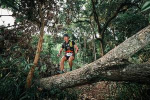 BIB: 
                            <button type="button" onclick="openModal(25535740)" class="btn btn-primary btn-sm float-right btn-popup" data-toggle="modal" data-target=".modal-high-quality">
                        <i class="fas fa-shopping-cart"></i> Add to Cart
                    </button>
                                            <button type="button" onclick="isThisMe(25535740, true)" class="btn btn-success btn-sm float-right btn-popup btn-isme hidden" data-toggle="tooltip" data-placement="bottom" title="นี่คือรูปของคุณใช่ไหม คลิกที่นี่เพื่อเอาเข้าอัลบั้ม">
                        <i class="fas fa-plus"></i> Add to album
                    </button>
                    <button type="button" onclick="isThisMe(25535740, false)" class="btn btn-warning btn-sm float-right btn-popup btn-isnotme hidden">
                        <i class="fas fa-ban"></i> Remove from album
                    </button>