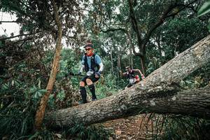 BIB: 
                            <button type="button" onclick="openModal(25541383)" class="btn btn-primary btn-sm float-right btn-popup" data-toggle="modal" data-target=".modal-high-quality">
                        <i class="fas fa-shopping-cart"></i> Add to Cart
                    </button>
                                            <button type="button" onclick="isThisMe(25541383, true)" class="btn btn-success btn-sm float-right btn-popup btn-isme hidden" data-toggle="tooltip" data-placement="bottom" title="นี่คือรูปของคุณใช่ไหม คลิกที่นี่เพื่อเอาเข้าอัลบั้ม">
                        <i class="fas fa-plus"></i> Add to album
                    </button>
                    <button type="button" onclick="isThisMe(25541383, false)" class="btn btn-warning btn-sm float-right btn-popup btn-isnotme hidden">
                        <i class="fas fa-ban"></i> Remove from album
                    </button>