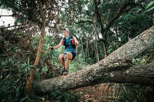 BIB: 
                            <button type="button" onclick="openModal(25539871)" class="btn btn-primary btn-sm float-right btn-popup" data-toggle="modal" data-target=".modal-high-quality">
                        <i class="fas fa-shopping-cart"></i> Add to Cart
                    </button>
                                            <button type="button" onclick="isThisMe(25539871, true)" class="btn btn-success btn-sm float-right btn-popup btn-isme hidden" data-toggle="tooltip" data-placement="bottom" title="นี่คือรูปของคุณใช่ไหม คลิกที่นี่เพื่อเอาเข้าอัลบั้ม">
                        <i class="fas fa-plus"></i> Add to album
                    </button>
                    <button type="button" onclick="isThisMe(25539871, false)" class="btn btn-warning btn-sm float-right btn-popup btn-isnotme hidden">
                        <i class="fas fa-ban"></i> Remove from album
                    </button>