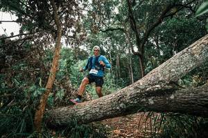 BIB: 
                            <button type="button" onclick="openModal(25546299)" class="btn btn-primary btn-sm float-right btn-popup" data-toggle="modal" data-target=".modal-high-quality">
                        <i class="fas fa-shopping-cart"></i> Add to Cart
                    </button>
                                            <button type="button" onclick="isThisMe(25546299, true)" class="btn btn-success btn-sm float-right btn-popup btn-isme hidden" data-toggle="tooltip" data-placement="bottom" title="นี่คือรูปของคุณใช่ไหม คลิกที่นี่เพื่อเอาเข้าอัลบั้ม">
                        <i class="fas fa-plus"></i> Add to album
                    </button>
                    <button type="button" onclick="isThisMe(25546299, false)" class="btn btn-warning btn-sm float-right btn-popup btn-isnotme hidden">
                        <i class="fas fa-ban"></i> Remove from album
                    </button>