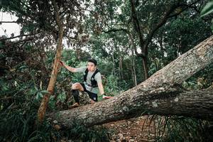 BIB: 
                            <button type="button" onclick="openModal(25536124)" class="btn btn-primary btn-sm float-right btn-popup" data-toggle="modal" data-target=".modal-high-quality">
                        <i class="fas fa-shopping-cart"></i> Add to Cart
                    </button>
                                            <button type="button" onclick="isThisMe(25536124, true)" class="btn btn-success btn-sm float-right btn-popup btn-isme hidden" data-toggle="tooltip" data-placement="bottom" title="นี่คือรูปของคุณใช่ไหม คลิกที่นี่เพื่อเอาเข้าอัลบั้ม">
                        <i class="fas fa-plus"></i> Add to album
                    </button>
                    <button type="button" onclick="isThisMe(25536124, false)" class="btn btn-warning btn-sm float-right btn-popup btn-isnotme hidden">
                        <i class="fas fa-ban"></i> Remove from album
                    </button>