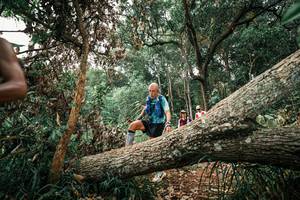 BIB: 
                            <button type="button" onclick="openModal(25531370)" class="btn btn-primary btn-sm float-right btn-popup" data-toggle="modal" data-target=".modal-high-quality">
                        <i class="fas fa-shopping-cart"></i> Add to Cart
                    </button>
                                            <button type="button" onclick="isThisMe(25531370, true)" class="btn btn-success btn-sm float-right btn-popup btn-isme hidden" data-toggle="tooltip" data-placement="bottom" title="นี่คือรูปของคุณใช่ไหม คลิกที่นี่เพื่อเอาเข้าอัลบั้ม">
                        <i class="fas fa-plus"></i> Add to album
                    </button>
                    <button type="button" onclick="isThisMe(25531370, false)" class="btn btn-warning btn-sm float-right btn-popup btn-isnotme hidden">
                        <i class="fas fa-ban"></i> Remove from album
                    </button>