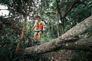 BIB: 
                            <button type="button" onclick="openModal(25527185)" class="btn btn-primary btn-sm float-right btn-popup" data-toggle="modal" data-target=".modal-high-quality">
                        <i class="fas fa-shopping-cart"></i> Add to Cart
                    </button>
                                            <button type="button" onclick="isThisMe(25527185, true)" class="btn btn-success btn-sm float-right btn-popup btn-isme hidden" data-toggle="tooltip" data-placement="bottom" title="นี่คือรูปของคุณใช่ไหม คลิกที่นี่เพื่อเอาเข้าอัลบั้ม">
                        <i class="fas fa-plus"></i> Add to album
                    </button>
                    <button type="button" onclick="isThisMe(25527185, false)" class="btn btn-warning btn-sm float-right btn-popup btn-isnotme hidden">
                        <i class="fas fa-ban"></i> Remove from album
                    </button>