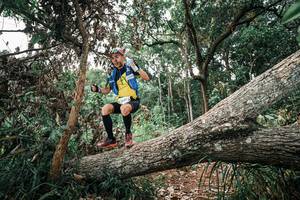 BIB: 
                            <button type="button" onclick="openModal(25529671)" class="btn btn-primary btn-sm float-right btn-popup" data-toggle="modal" data-target=".modal-high-quality">
                        <i class="fas fa-shopping-cart"></i> Add to Cart
                    </button>
                                            <button type="button" onclick="isThisMe(25529671, true)" class="btn btn-success btn-sm float-right btn-popup btn-isme hidden" data-toggle="tooltip" data-placement="bottom" title="นี่คือรูปของคุณใช่ไหม คลิกที่นี่เพื่อเอาเข้าอัลบั้ม">
                        <i class="fas fa-plus"></i> Add to album
                    </button>
                    <button type="button" onclick="isThisMe(25529671, false)" class="btn btn-warning btn-sm float-right btn-popup btn-isnotme hidden">
                        <i class="fas fa-ban"></i> Remove from album
                    </button>