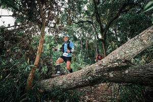 BIB: 
                            <button type="button" onclick="openModal(25535570)" class="btn btn-primary btn-sm float-right btn-popup" data-toggle="modal" data-target=".modal-high-quality">
                        <i class="fas fa-shopping-cart"></i> Add to Cart
                    </button>
                                            <button type="button" onclick="isThisMe(25535570, true)" class="btn btn-success btn-sm float-right btn-popup btn-isme hidden" data-toggle="tooltip" data-placement="bottom" title="นี่คือรูปของคุณใช่ไหม คลิกที่นี่เพื่อเอาเข้าอัลบั้ม">
                        <i class="fas fa-plus"></i> Add to album
                    </button>
                    <button type="button" onclick="isThisMe(25535570, false)" class="btn btn-warning btn-sm float-right btn-popup btn-isnotme hidden">
                        <i class="fas fa-ban"></i> Remove from album
                    </button>