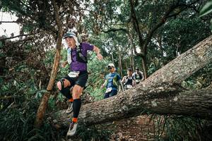 BIB: 
                            <button type="button" onclick="openModal(25536911)" class="btn btn-primary btn-sm float-right btn-popup" data-toggle="modal" data-target=".modal-high-quality">
                        <i class="fas fa-shopping-cart"></i> Add to Cart
                    </button>
                                            <button type="button" onclick="isThisMe(25536911, true)" class="btn btn-success btn-sm float-right btn-popup btn-isme hidden" data-toggle="tooltip" data-placement="bottom" title="นี่คือรูปของคุณใช่ไหม คลิกที่นี่เพื่อเอาเข้าอัลบั้ม">
                        <i class="fas fa-plus"></i> Add to album
                    </button>
                    <button type="button" onclick="isThisMe(25536911, false)" class="btn btn-warning btn-sm float-right btn-popup btn-isnotme hidden">
                        <i class="fas fa-ban"></i> Remove from album
                    </button>