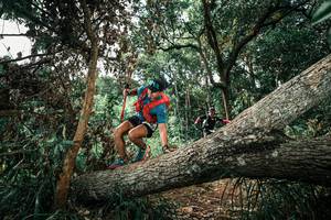 BIB: 
                            <button type="button" onclick="openModal(25548708)" class="btn btn-primary btn-sm float-right btn-popup" data-toggle="modal" data-target=".modal-high-quality">
                        <i class="fas fa-shopping-cart"></i> Add to Cart
                    </button>
                                            <button type="button" onclick="isThisMe(25548708, true)" class="btn btn-success btn-sm float-right btn-popup btn-isme hidden" data-toggle="tooltip" data-placement="bottom" title="นี่คือรูปของคุณใช่ไหม คลิกที่นี่เพื่อเอาเข้าอัลบั้ม">
                        <i class="fas fa-plus"></i> Add to album
                    </button>
                    <button type="button" onclick="isThisMe(25548708, false)" class="btn btn-warning btn-sm float-right btn-popup btn-isnotme hidden">
                        <i class="fas fa-ban"></i> Remove from album
                    </button>