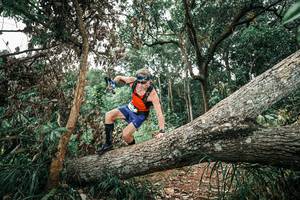 BIB: 
                            <button type="button" onclick="openModal(25542879)" class="btn btn-primary btn-sm float-right btn-popup" data-toggle="modal" data-target=".modal-high-quality">
                        <i class="fas fa-shopping-cart"></i> Add to Cart
                    </button>
                                            <button type="button" onclick="isThisMe(25542879, true)" class="btn btn-success btn-sm float-right btn-popup btn-isme hidden" data-toggle="tooltip" data-placement="bottom" title="นี่คือรูปของคุณใช่ไหม คลิกที่นี่เพื่อเอาเข้าอัลบั้ม">
                        <i class="fas fa-plus"></i> Add to album
                    </button>
                    <button type="button" onclick="isThisMe(25542879, false)" class="btn btn-warning btn-sm float-right btn-popup btn-isnotme hidden">
                        <i class="fas fa-ban"></i> Remove from album
                    </button>