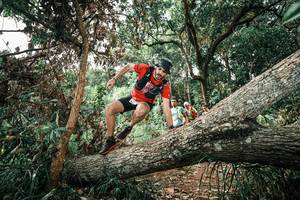 BIB: 
                            <button type="button" onclick="openModal(25543406)" class="btn btn-primary btn-sm float-right btn-popup" data-toggle="modal" data-target=".modal-high-quality">
                        <i class="fas fa-shopping-cart"></i> Add to Cart
                    </button>
                                            <button type="button" onclick="isThisMe(25543406, true)" class="btn btn-success btn-sm float-right btn-popup btn-isme hidden" data-toggle="tooltip" data-placement="bottom" title="นี่คือรูปของคุณใช่ไหม คลิกที่นี่เพื่อเอาเข้าอัลบั้ม">
                        <i class="fas fa-plus"></i> Add to album
                    </button>
                    <button type="button" onclick="isThisMe(25543406, false)" class="btn btn-warning btn-sm float-right btn-popup btn-isnotme hidden">
                        <i class="fas fa-ban"></i> Remove from album
                    </button>