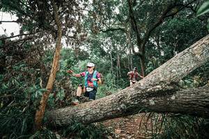 BIB: 
                            <button type="button" onclick="openModal(25541862)" class="btn btn-primary btn-sm float-right btn-popup" data-toggle="modal" data-target=".modal-high-quality">
                        <i class="fas fa-shopping-cart"></i> Add to Cart
                    </button>
                                            <button type="button" onclick="isThisMe(25541862, true)" class="btn btn-success btn-sm float-right btn-popup btn-isme hidden" data-toggle="tooltip" data-placement="bottom" title="นี่คือรูปของคุณใช่ไหม คลิกที่นี่เพื่อเอาเข้าอัลบั้ม">
                        <i class="fas fa-plus"></i> Add to album
                    </button>
                    <button type="button" onclick="isThisMe(25541862, false)" class="btn btn-warning btn-sm float-right btn-popup btn-isnotme hidden">
                        <i class="fas fa-ban"></i> Remove from album
                    </button>