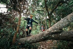 BIB: 
                            <button type="button" onclick="openModal(25533045)" class="btn btn-primary btn-sm float-right btn-popup" data-toggle="modal" data-target=".modal-high-quality">
                        <i class="fas fa-shopping-cart"></i> Add to Cart
                    </button>
                                            <button type="button" onclick="isThisMe(25533045, true)" class="btn btn-success btn-sm float-right btn-popup btn-isme hidden" data-toggle="tooltip" data-placement="bottom" title="นี่คือรูปของคุณใช่ไหม คลิกที่นี่เพื่อเอาเข้าอัลบั้ม">
                        <i class="fas fa-plus"></i> Add to album
                    </button>
                    <button type="button" onclick="isThisMe(25533045, false)" class="btn btn-warning btn-sm float-right btn-popup btn-isnotme hidden">
                        <i class="fas fa-ban"></i> Remove from album
                    </button>