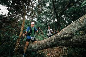 BIB: 
                            <button type="button" onclick="openModal(25550782)" class="btn btn-primary btn-sm float-right btn-popup" data-toggle="modal" data-target=".modal-high-quality">
                        <i class="fas fa-shopping-cart"></i> Add to Cart
                    </button>
                                            <button type="button" onclick="isThisMe(25550782, true)" class="btn btn-success btn-sm float-right btn-popup btn-isme hidden" data-toggle="tooltip" data-placement="bottom" title="นี่คือรูปของคุณใช่ไหม คลิกที่นี่เพื่อเอาเข้าอัลบั้ม">
                        <i class="fas fa-plus"></i> Add to album
                    </button>
                    <button type="button" onclick="isThisMe(25550782, false)" class="btn btn-warning btn-sm float-right btn-popup btn-isnotme hidden">
                        <i class="fas fa-ban"></i> Remove from album
                    </button>