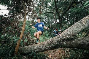 BIB: 
                            <button type="button" onclick="openModal(25541376)" class="btn btn-primary btn-sm float-right btn-popup" data-toggle="modal" data-target=".modal-high-quality">
                        <i class="fas fa-shopping-cart"></i> Add to Cart
                    </button>
                                            <button type="button" onclick="isThisMe(25541376, true)" class="btn btn-success btn-sm float-right btn-popup btn-isme hidden" data-toggle="tooltip" data-placement="bottom" title="นี่คือรูปของคุณใช่ไหม คลิกที่นี่เพื่อเอาเข้าอัลบั้ม">
                        <i class="fas fa-plus"></i> Add to album
                    </button>
                    <button type="button" onclick="isThisMe(25541376, false)" class="btn btn-warning btn-sm float-right btn-popup btn-isnotme hidden">
                        <i class="fas fa-ban"></i> Remove from album
                    </button>