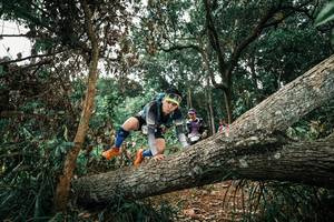 BIB: 
                            <button type="button" onclick="openModal(25549959)" class="btn btn-primary btn-sm float-right btn-popup" data-toggle="modal" data-target=".modal-high-quality">
                        <i class="fas fa-shopping-cart"></i> Add to Cart
                    </button>
                                            <button type="button" onclick="isThisMe(25549959, true)" class="btn btn-success btn-sm float-right btn-popup btn-isme hidden" data-toggle="tooltip" data-placement="bottom" title="นี่คือรูปของคุณใช่ไหม คลิกที่นี่เพื่อเอาเข้าอัลบั้ม">
                        <i class="fas fa-plus"></i> Add to album
                    </button>
                    <button type="button" onclick="isThisMe(25549959, false)" class="btn btn-warning btn-sm float-right btn-popup btn-isnotme hidden">
                        <i class="fas fa-ban"></i> Remove from album
                    </button>