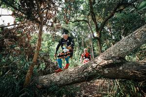 BIB: 
                            <button type="button" onclick="openModal(25534552)" class="btn btn-primary btn-sm float-right btn-popup" data-toggle="modal" data-target=".modal-high-quality">
                        <i class="fas fa-shopping-cart"></i> Add to Cart
                    </button>
                                            <button type="button" onclick="isThisMe(25534552, true)" class="btn btn-success btn-sm float-right btn-popup btn-isme hidden" data-toggle="tooltip" data-placement="bottom" title="นี่คือรูปของคุณใช่ไหม คลิกที่นี่เพื่อเอาเข้าอัลบั้ม">
                        <i class="fas fa-plus"></i> Add to album
                    </button>
                    <button type="button" onclick="isThisMe(25534552, false)" class="btn btn-warning btn-sm float-right btn-popup btn-isnotme hidden">
                        <i class="fas fa-ban"></i> Remove from album
                    </button>