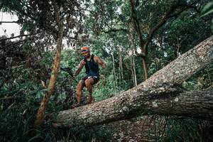 BIB: 
                            <button type="button" onclick="openModal(25527892)" class="btn btn-primary btn-sm float-right btn-popup" data-toggle="modal" data-target=".modal-high-quality">
                        <i class="fas fa-shopping-cart"></i> Add to Cart
                    </button>
                                            <button type="button" onclick="isThisMe(25527892, true)" class="btn btn-success btn-sm float-right btn-popup btn-isme hidden" data-toggle="tooltip" data-placement="bottom" title="นี่คือรูปของคุณใช่ไหม คลิกที่นี่เพื่อเอาเข้าอัลบั้ม">
                        <i class="fas fa-plus"></i> Add to album
                    </button>
                    <button type="button" onclick="isThisMe(25527892, false)" class="btn btn-warning btn-sm float-right btn-popup btn-isnotme hidden">
                        <i class="fas fa-ban"></i> Remove from album
                    </button>