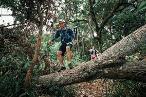 BIB: 
                            <button type="button" onclick="openModal(25529915)" class="btn btn-primary btn-sm float-right btn-popup" data-toggle="modal" data-target=".modal-high-quality">
                        <i class="fas fa-shopping-cart"></i> Add to Cart
                    </button>
                                            <button type="button" onclick="isThisMe(25529915, true)" class="btn btn-success btn-sm float-right btn-popup btn-isme hidden" data-toggle="tooltip" data-placement="bottom" title="นี่คือรูปของคุณใช่ไหม คลิกที่นี่เพื่อเอาเข้าอัลบั้ม">
                        <i class="fas fa-plus"></i> Add to album
                    </button>
                    <button type="button" onclick="isThisMe(25529915, false)" class="btn btn-warning btn-sm float-right btn-popup btn-isnotme hidden">
                        <i class="fas fa-ban"></i> Remove from album
                    </button>