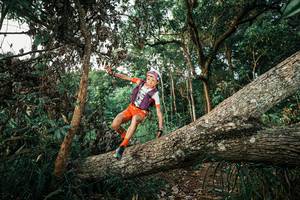 BIB: 
                            <button type="button" onclick="openModal(25526030)" class="btn btn-primary btn-sm float-right btn-popup" data-toggle="modal" data-target=".modal-high-quality">
                        <i class="fas fa-shopping-cart"></i> Add to Cart
                    </button>
                                            <button type="button" onclick="isThisMe(25526030, true)" class="btn btn-success btn-sm float-right btn-popup btn-isme hidden" data-toggle="tooltip" data-placement="bottom" title="นี่คือรูปของคุณใช่ไหม คลิกที่นี่เพื่อเอาเข้าอัลบั้ม">
                        <i class="fas fa-plus"></i> Add to album
                    </button>
                    <button type="button" onclick="isThisMe(25526030, false)" class="btn btn-warning btn-sm float-right btn-popup btn-isnotme hidden">
                        <i class="fas fa-ban"></i> Remove from album
                    </button>