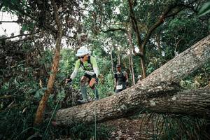 BIB: 
                            <button type="button" onclick="openModal(25528661)" class="btn btn-primary btn-sm float-right btn-popup" data-toggle="modal" data-target=".modal-high-quality">
                        <i class="fas fa-shopping-cart"></i> Add to Cart
                    </button>
                                            <button type="button" onclick="isThisMe(25528661, true)" class="btn btn-success btn-sm float-right btn-popup btn-isme hidden" data-toggle="tooltip" data-placement="bottom" title="นี่คือรูปของคุณใช่ไหม คลิกที่นี่เพื่อเอาเข้าอัลบั้ม">
                        <i class="fas fa-plus"></i> Add to album
                    </button>
                    <button type="button" onclick="isThisMe(25528661, false)" class="btn btn-warning btn-sm float-right btn-popup btn-isnotme hidden">
                        <i class="fas fa-ban"></i> Remove from album
                    </button>