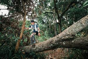 BIB: 
                            <button type="button" onclick="openModal(25536261)" class="btn btn-primary btn-sm float-right btn-popup" data-toggle="modal" data-target=".modal-high-quality">
                        <i class="fas fa-shopping-cart"></i> Add to Cart
                    </button>
                                            <button type="button" onclick="isThisMe(25536261, true)" class="btn btn-success btn-sm float-right btn-popup btn-isme hidden" data-toggle="tooltip" data-placement="bottom" title="นี่คือรูปของคุณใช่ไหม คลิกที่นี่เพื่อเอาเข้าอัลบั้ม">
                        <i class="fas fa-plus"></i> Add to album
                    </button>
                    <button type="button" onclick="isThisMe(25536261, false)" class="btn btn-warning btn-sm float-right btn-popup btn-isnotme hidden">
                        <i class="fas fa-ban"></i> Remove from album
                    </button>