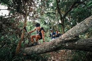 BIB: 
                            <button type="button" onclick="openModal(25532928)" class="btn btn-primary btn-sm float-right btn-popup" data-toggle="modal" data-target=".modal-high-quality">
                        <i class="fas fa-shopping-cart"></i> Add to Cart
                    </button>
                                            <button type="button" onclick="isThisMe(25532928, true)" class="btn btn-success btn-sm float-right btn-popup btn-isme hidden" data-toggle="tooltip" data-placement="bottom" title="นี่คือรูปของคุณใช่ไหม คลิกที่นี่เพื่อเอาเข้าอัลบั้ม">
                        <i class="fas fa-plus"></i> Add to album
                    </button>
                    <button type="button" onclick="isThisMe(25532928, false)" class="btn btn-warning btn-sm float-right btn-popup btn-isnotme hidden">
                        <i class="fas fa-ban"></i> Remove from album
                    </button>