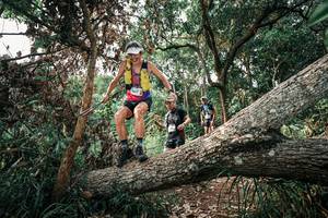 BIB: 
                            <button type="button" onclick="openModal(25533497)" class="btn btn-primary btn-sm float-right btn-popup" data-toggle="modal" data-target=".modal-high-quality">
                        <i class="fas fa-shopping-cart"></i> Add to Cart
                    </button>
                                            <button type="button" onclick="isThisMe(25533497, true)" class="btn btn-success btn-sm float-right btn-popup btn-isme hidden" data-toggle="tooltip" data-placement="bottom" title="นี่คือรูปของคุณใช่ไหม คลิกที่นี่เพื่อเอาเข้าอัลบั้ม">
                        <i class="fas fa-plus"></i> Add to album
                    </button>
                    <button type="button" onclick="isThisMe(25533497, false)" class="btn btn-warning btn-sm float-right btn-popup btn-isnotme hidden">
                        <i class="fas fa-ban"></i> Remove from album
                    </button>