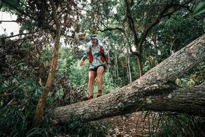 BIB: 
                            <button type="button" onclick="openModal(25533296)" class="btn btn-primary btn-sm float-right btn-popup" data-toggle="modal" data-target=".modal-high-quality">
                        <i class="fas fa-shopping-cart"></i> Add to Cart
                    </button>
                                            <button type="button" onclick="isThisMe(25533296, true)" class="btn btn-success btn-sm float-right btn-popup btn-isme hidden" data-toggle="tooltip" data-placement="bottom" title="นี่คือรูปของคุณใช่ไหม คลิกที่นี่เพื่อเอาเข้าอัลบั้ม">
                        <i class="fas fa-plus"></i> Add to album
                    </button>
                    <button type="button" onclick="isThisMe(25533296, false)" class="btn btn-warning btn-sm float-right btn-popup btn-isnotme hidden">
                        <i class="fas fa-ban"></i> Remove from album
                    </button>