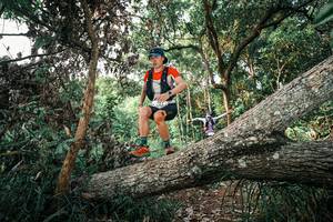 BIB: 
                            <button type="button" onclick="openModal(25527664)" class="btn btn-primary btn-sm float-right btn-popup" data-toggle="modal" data-target=".modal-high-quality">
                        <i class="fas fa-shopping-cart"></i> Add to Cart
                    </button>
                                            <button type="button" onclick="isThisMe(25527664, true)" class="btn btn-success btn-sm float-right btn-popup btn-isme hidden" data-toggle="tooltip" data-placement="bottom" title="นี่คือรูปของคุณใช่ไหม คลิกที่นี่เพื่อเอาเข้าอัลบั้ม">
                        <i class="fas fa-plus"></i> Add to album
                    </button>
                    <button type="button" onclick="isThisMe(25527664, false)" class="btn btn-warning btn-sm float-right btn-popup btn-isnotme hidden">
                        <i class="fas fa-ban"></i> Remove from album
                    </button>