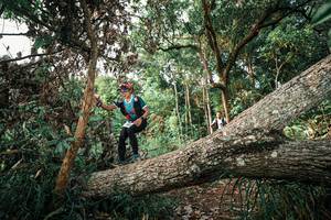 BIB: 
                            <button type="button" onclick="openModal(25527056)" class="btn btn-primary btn-sm float-right btn-popup" data-toggle="modal" data-target=".modal-high-quality">
                        <i class="fas fa-shopping-cart"></i> Add to Cart
                    </button>
                                            <button type="button" onclick="isThisMe(25527056, true)" class="btn btn-success btn-sm float-right btn-popup btn-isme hidden" data-toggle="tooltip" data-placement="bottom" title="นี่คือรูปของคุณใช่ไหม คลิกที่นี่เพื่อเอาเข้าอัลบั้ม">
                        <i class="fas fa-plus"></i> Add to album
                    </button>
                    <button type="button" onclick="isThisMe(25527056, false)" class="btn btn-warning btn-sm float-right btn-popup btn-isnotme hidden">
                        <i class="fas fa-ban"></i> Remove from album
                    </button>