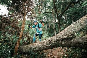 BIB: 
                            <button type="button" onclick="openModal(25545633)" class="btn btn-primary btn-sm float-right btn-popup" data-toggle="modal" data-target=".modal-high-quality">
                        <i class="fas fa-shopping-cart"></i> Add to Cart
                    </button>
                                            <button type="button" onclick="isThisMe(25545633, true)" class="btn btn-success btn-sm float-right btn-popup btn-isme hidden" data-toggle="tooltip" data-placement="bottom" title="นี่คือรูปของคุณใช่ไหม คลิกที่นี่เพื่อเอาเข้าอัลบั้ม">
                        <i class="fas fa-plus"></i> Add to album
                    </button>
                    <button type="button" onclick="isThisMe(25545633, false)" class="btn btn-warning btn-sm float-right btn-popup btn-isnotme hidden">
                        <i class="fas fa-ban"></i> Remove from album
                    </button>