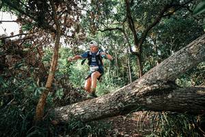 BIB: 
                            <button type="button" onclick="openModal(25535362)" class="btn btn-primary btn-sm float-right btn-popup" data-toggle="modal" data-target=".modal-high-quality">
                        <i class="fas fa-shopping-cart"></i> Add to Cart
                    </button>
                                            <button type="button" onclick="isThisMe(25535362, true)" class="btn btn-success btn-sm float-right btn-popup btn-isme hidden" data-toggle="tooltip" data-placement="bottom" title="นี่คือรูปของคุณใช่ไหม คลิกที่นี่เพื่อเอาเข้าอัลบั้ม">
                        <i class="fas fa-plus"></i> Add to album
                    </button>
                    <button type="button" onclick="isThisMe(25535362, false)" class="btn btn-warning btn-sm float-right btn-popup btn-isnotme hidden">
                        <i class="fas fa-ban"></i> Remove from album
                    </button>