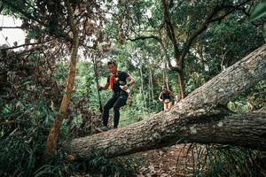 BIB: 
                            <button type="button" onclick="openModal(25533369)" class="btn btn-primary btn-sm float-right btn-popup" data-toggle="modal" data-target=".modal-high-quality">
                        <i class="fas fa-shopping-cart"></i> Add to Cart
                    </button>
                                            <button type="button" onclick="isThisMe(25533369, true)" class="btn btn-success btn-sm float-right btn-popup btn-isme hidden" data-toggle="tooltip" data-placement="bottom" title="นี่คือรูปของคุณใช่ไหม คลิกที่นี่เพื่อเอาเข้าอัลบั้ม">
                        <i class="fas fa-plus"></i> Add to album
                    </button>
                    <button type="button" onclick="isThisMe(25533369, false)" class="btn btn-warning btn-sm float-right btn-popup btn-isnotme hidden">
                        <i class="fas fa-ban"></i> Remove from album
                    </button>