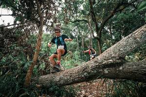 BIB: 
                            <button type="button" onclick="openModal(25529875)" class="btn btn-primary btn-sm float-right btn-popup" data-toggle="modal" data-target=".modal-high-quality">
                        <i class="fas fa-shopping-cart"></i> Add to Cart
                    </button>
                                            <button type="button" onclick="isThisMe(25529875, true)" class="btn btn-success btn-sm float-right btn-popup btn-isme hidden" data-toggle="tooltip" data-placement="bottom" title="นี่คือรูปของคุณใช่ไหม คลิกที่นี่เพื่อเอาเข้าอัลบั้ม">
                        <i class="fas fa-plus"></i> Add to album
                    </button>
                    <button type="button" onclick="isThisMe(25529875, false)" class="btn btn-warning btn-sm float-right btn-popup btn-isnotme hidden">
                        <i class="fas fa-ban"></i> Remove from album
                    </button>