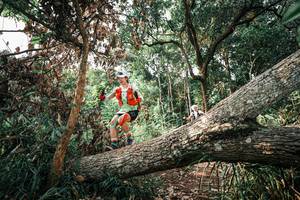 BIB: 
                            <button type="button" onclick="openModal(25534110)" class="btn btn-primary btn-sm float-right btn-popup" data-toggle="modal" data-target=".modal-high-quality">
                        <i class="fas fa-shopping-cart"></i> Add to Cart
                    </button>
                                            <button type="button" onclick="isThisMe(25534110, true)" class="btn btn-success btn-sm float-right btn-popup btn-isme hidden" data-toggle="tooltip" data-placement="bottom" title="นี่คือรูปของคุณใช่ไหม คลิกที่นี่เพื่อเอาเข้าอัลบั้ม">
                        <i class="fas fa-plus"></i> Add to album
                    </button>
                    <button type="button" onclick="isThisMe(25534110, false)" class="btn btn-warning btn-sm float-right btn-popup btn-isnotme hidden">
                        <i class="fas fa-ban"></i> Remove from album
                    </button>