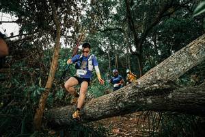 BIB: 
                            <button type="button" onclick="openModal(25550384)" class="btn btn-primary btn-sm float-right btn-popup" data-toggle="modal" data-target=".modal-high-quality">
                        <i class="fas fa-shopping-cart"></i> Add to Cart
                    </button>
                                            <button type="button" onclick="isThisMe(25550384, true)" class="btn btn-success btn-sm float-right btn-popup btn-isme hidden" data-toggle="tooltip" data-placement="bottom" title="นี่คือรูปของคุณใช่ไหม คลิกที่นี่เพื่อเอาเข้าอัลบั้ม">
                        <i class="fas fa-plus"></i> Add to album
                    </button>
                    <button type="button" onclick="isThisMe(25550384, false)" class="btn btn-warning btn-sm float-right btn-popup btn-isnotme hidden">
                        <i class="fas fa-ban"></i> Remove from album
                    </button>