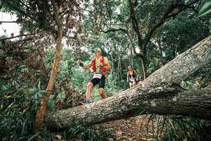 BIB: 
                            <button type="button" onclick="openModal(25541011)" class="btn btn-primary btn-sm float-right btn-popup" data-toggle="modal" data-target=".modal-high-quality">
                        <i class="fas fa-shopping-cart"></i> Add to Cart
                    </button>
                                            <button type="button" onclick="isThisMe(25541011, true)" class="btn btn-success btn-sm float-right btn-popup btn-isme hidden" data-toggle="tooltip" data-placement="bottom" title="นี่คือรูปของคุณใช่ไหม คลิกที่นี่เพื่อเอาเข้าอัลบั้ม">
                        <i class="fas fa-plus"></i> Add to album
                    </button>
                    <button type="button" onclick="isThisMe(25541011, false)" class="btn btn-warning btn-sm float-right btn-popup btn-isnotme hidden">
                        <i class="fas fa-ban"></i> Remove from album
                    </button>