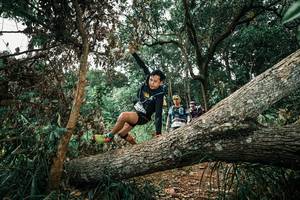 BIB: 
                            <button type="button" onclick="openModal(25549940)" class="btn btn-primary btn-sm float-right btn-popup" data-toggle="modal" data-target=".modal-high-quality">
                        <i class="fas fa-shopping-cart"></i> Add to Cart
                    </button>
                                            <button type="button" onclick="isThisMe(25549940, true)" class="btn btn-success btn-sm float-right btn-popup btn-isme hidden" data-toggle="tooltip" data-placement="bottom" title="นี่คือรูปของคุณใช่ไหม คลิกที่นี่เพื่อเอาเข้าอัลบั้ม">
                        <i class="fas fa-plus"></i> Add to album
                    </button>
                    <button type="button" onclick="isThisMe(25549940, false)" class="btn btn-warning btn-sm float-right btn-popup btn-isnotme hidden">
                        <i class="fas fa-ban"></i> Remove from album
                    </button>