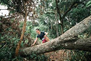 BIB: 
                            <button type="button" onclick="openModal(25540337)" class="btn btn-primary btn-sm float-right btn-popup" data-toggle="modal" data-target=".modal-high-quality">
                        <i class="fas fa-shopping-cart"></i> Add to Cart
                    </button>
                                            <button type="button" onclick="isThisMe(25540337, true)" class="btn btn-success btn-sm float-right btn-popup btn-isme hidden" data-toggle="tooltip" data-placement="bottom" title="นี่คือรูปของคุณใช่ไหม คลิกที่นี่เพื่อเอาเข้าอัลบั้ม">
                        <i class="fas fa-plus"></i> Add to album
                    </button>
                    <button type="button" onclick="isThisMe(25540337, false)" class="btn btn-warning btn-sm float-right btn-popup btn-isnotme hidden">
                        <i class="fas fa-ban"></i> Remove from album
                    </button>