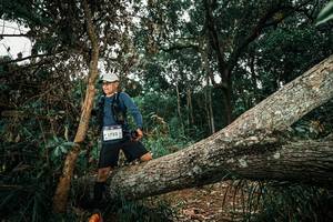 BIB: 
                            <button type="button" onclick="openModal(25552168)" class="btn btn-primary btn-sm float-right btn-popup" data-toggle="modal" data-target=".modal-high-quality">
                        <i class="fas fa-shopping-cart"></i> Add to Cart
                    </button>
                                            <button type="button" onclick="isThisMe(25552168, true)" class="btn btn-success btn-sm float-right btn-popup btn-isme hidden" data-toggle="tooltip" data-placement="bottom" title="นี่คือรูปของคุณใช่ไหม คลิกที่นี่เพื่อเอาเข้าอัลบั้ม">
                        <i class="fas fa-plus"></i> Add to album
                    </button>
                    <button type="button" onclick="isThisMe(25552168, false)" class="btn btn-warning btn-sm float-right btn-popup btn-isnotme hidden">
                        <i class="fas fa-ban"></i> Remove from album
                    </button>