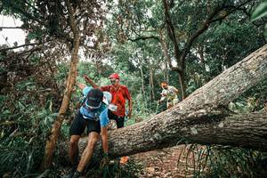 BIB: 
                            <button type="button" onclick="openModal(25544694)" class="btn btn-primary btn-sm float-right btn-popup" data-toggle="modal" data-target=".modal-high-quality">
                        <i class="fas fa-shopping-cart"></i> Add to Cart
                    </button>
                                            <button type="button" onclick="isThisMe(25544694, true)" class="btn btn-success btn-sm float-right btn-popup btn-isme hidden" data-toggle="tooltip" data-placement="bottom" title="นี่คือรูปของคุณใช่ไหม คลิกที่นี่เพื่อเอาเข้าอัลบั้ม">
                        <i class="fas fa-plus"></i> Add to album
                    </button>
                    <button type="button" onclick="isThisMe(25544694, false)" class="btn btn-warning btn-sm float-right btn-popup btn-isnotme hidden">
                        <i class="fas fa-ban"></i> Remove from album
                    </button>