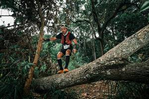 BIB: 
                            <button type="button" onclick="openModal(25551409)" class="btn btn-primary btn-sm float-right btn-popup" data-toggle="modal" data-target=".modal-high-quality">
                        <i class="fas fa-shopping-cart"></i> Add to Cart
                    </button>
                                            <button type="button" onclick="isThisMe(25551409, true)" class="btn btn-success btn-sm float-right btn-popup btn-isme hidden" data-toggle="tooltip" data-placement="bottom" title="นี่คือรูปของคุณใช่ไหม คลิกที่นี่เพื่อเอาเข้าอัลบั้ม">
                        <i class="fas fa-plus"></i> Add to album
                    </button>
                    <button type="button" onclick="isThisMe(25551409, false)" class="btn btn-warning btn-sm float-right btn-popup btn-isnotme hidden">
                        <i class="fas fa-ban"></i> Remove from album
                    </button>