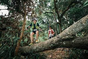 BIB: 
                            <button type="button" onclick="openModal(25549450)" class="btn btn-primary btn-sm float-right btn-popup" data-toggle="modal" data-target=".modal-high-quality">
                        <i class="fas fa-shopping-cart"></i> Add to Cart
                    </button>
                                            <button type="button" onclick="isThisMe(25549450, true)" class="btn btn-success btn-sm float-right btn-popup btn-isme hidden" data-toggle="tooltip" data-placement="bottom" title="นี่คือรูปของคุณใช่ไหม คลิกที่นี่เพื่อเอาเข้าอัลบั้ม">
                        <i class="fas fa-plus"></i> Add to album
                    </button>
                    <button type="button" onclick="isThisMe(25549450, false)" class="btn btn-warning btn-sm float-right btn-popup btn-isnotme hidden">
                        <i class="fas fa-ban"></i> Remove from album
                    </button>