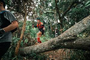 BIB: 
                            <button type="button" onclick="openModal(25540051)" class="btn btn-primary btn-sm float-right btn-popup" data-toggle="modal" data-target=".modal-high-quality">
                        <i class="fas fa-shopping-cart"></i> Add to Cart
                    </button>
                                            <button type="button" onclick="isThisMe(25540051, true)" class="btn btn-success btn-sm float-right btn-popup btn-isme hidden" data-toggle="tooltip" data-placement="bottom" title="นี่คือรูปของคุณใช่ไหม คลิกที่นี่เพื่อเอาเข้าอัลบั้ม">
                        <i class="fas fa-plus"></i> Add to album
                    </button>
                    <button type="button" onclick="isThisMe(25540051, false)" class="btn btn-warning btn-sm float-right btn-popup btn-isnotme hidden">
                        <i class="fas fa-ban"></i> Remove from album
                    </button>