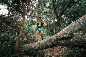 BIB: 
                            <button type="button" onclick="openModal(25531644)" class="btn btn-primary btn-sm float-right btn-popup" data-toggle="modal" data-target=".modal-high-quality">
                        <i class="fas fa-shopping-cart"></i> Add to Cart
                    </button>
                                            <button type="button" onclick="isThisMe(25531644, true)" class="btn btn-success btn-sm float-right btn-popup btn-isme hidden" data-toggle="tooltip" data-placement="bottom" title="นี่คือรูปของคุณใช่ไหม คลิกที่นี่เพื่อเอาเข้าอัลบั้ม">
                        <i class="fas fa-plus"></i> Add to album
                    </button>
                    <button type="button" onclick="isThisMe(25531644, false)" class="btn btn-warning btn-sm float-right btn-popup btn-isnotme hidden">
                        <i class="fas fa-ban"></i> Remove from album
                    </button>