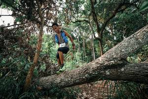 BIB: 
                            <button type="button" onclick="openModal(25533284)" class="btn btn-primary btn-sm float-right btn-popup" data-toggle="modal" data-target=".modal-high-quality">
                        <i class="fas fa-shopping-cart"></i> Add to Cart
                    </button>
                                            <button type="button" onclick="isThisMe(25533284, true)" class="btn btn-success btn-sm float-right btn-popup btn-isme hidden" data-toggle="tooltip" data-placement="bottom" title="นี่คือรูปของคุณใช่ไหม คลิกที่นี่เพื่อเอาเข้าอัลบั้ม">
                        <i class="fas fa-plus"></i> Add to album
                    </button>
                    <button type="button" onclick="isThisMe(25533284, false)" class="btn btn-warning btn-sm float-right btn-popup btn-isnotme hidden">
                        <i class="fas fa-ban"></i> Remove from album
                    </button>