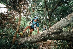 BIB: 
                            <button type="button" onclick="openModal(25537628)" class="btn btn-primary btn-sm float-right btn-popup" data-toggle="modal" data-target=".modal-high-quality">
                        <i class="fas fa-shopping-cart"></i> Add to Cart
                    </button>
                                            <button type="button" onclick="isThisMe(25537628, true)" class="btn btn-success btn-sm float-right btn-popup btn-isme hidden" data-toggle="tooltip" data-placement="bottom" title="นี่คือรูปของคุณใช่ไหม คลิกที่นี่เพื่อเอาเข้าอัลบั้ม">
                        <i class="fas fa-plus"></i> Add to album
                    </button>
                    <button type="button" onclick="isThisMe(25537628, false)" class="btn btn-warning btn-sm float-right btn-popup btn-isnotme hidden">
                        <i class="fas fa-ban"></i> Remove from album
                    </button>