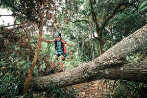 BIB: 
                            <button type="button" onclick="openModal(25545274)" class="btn btn-primary btn-sm float-right btn-popup" data-toggle="modal" data-target=".modal-high-quality">
                        <i class="fas fa-shopping-cart"></i> Add to Cart
                    </button>
                                            <button type="button" onclick="isThisMe(25545274, true)" class="btn btn-success btn-sm float-right btn-popup btn-isme hidden" data-toggle="tooltip" data-placement="bottom" title="นี่คือรูปของคุณใช่ไหม คลิกที่นี่เพื่อเอาเข้าอัลบั้ม">
                        <i class="fas fa-plus"></i> Add to album
                    </button>
                    <button type="button" onclick="isThisMe(25545274, false)" class="btn btn-warning btn-sm float-right btn-popup btn-isnotme hidden">
                        <i class="fas fa-ban"></i> Remove from album
                    </button>