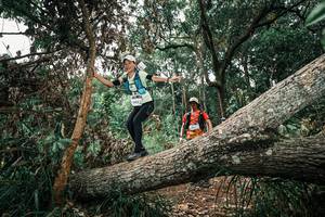 BIB: 
                            <button type="button" onclick="openModal(25547525)" class="btn btn-primary btn-sm float-right btn-popup" data-toggle="modal" data-target=".modal-high-quality">
                        <i class="fas fa-shopping-cart"></i> Add to Cart
                    </button>
                                            <button type="button" onclick="isThisMe(25547525, true)" class="btn btn-success btn-sm float-right btn-popup btn-isme hidden" data-toggle="tooltip" data-placement="bottom" title="นี่คือรูปของคุณใช่ไหม คลิกที่นี่เพื่อเอาเข้าอัลบั้ม">
                        <i class="fas fa-plus"></i> Add to album
                    </button>
                    <button type="button" onclick="isThisMe(25547525, false)" class="btn btn-warning btn-sm float-right btn-popup btn-isnotme hidden">
                        <i class="fas fa-ban"></i> Remove from album
                    </button>