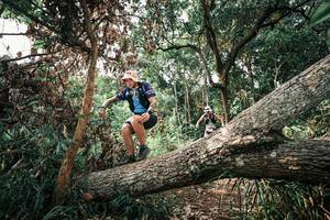 BIB: 
                            <button type="button" onclick="openModal(25534007)" class="btn btn-primary btn-sm float-right btn-popup" data-toggle="modal" data-target=".modal-high-quality">
                        <i class="fas fa-shopping-cart"></i> Add to Cart
                    </button>
                                            <button type="button" onclick="isThisMe(25534007, true)" class="btn btn-success btn-sm float-right btn-popup btn-isme hidden" data-toggle="tooltip" data-placement="bottom" title="นี่คือรูปของคุณใช่ไหม คลิกที่นี่เพื่อเอาเข้าอัลบั้ม">
                        <i class="fas fa-plus"></i> Add to album
                    </button>
                    <button type="button" onclick="isThisMe(25534007, false)" class="btn btn-warning btn-sm float-right btn-popup btn-isnotme hidden">
                        <i class="fas fa-ban"></i> Remove from album
                    </button>